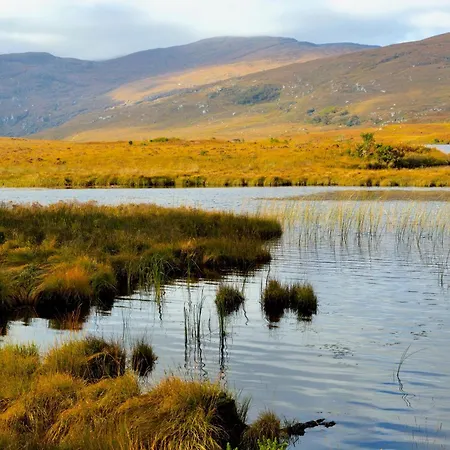 Luxury 3 Bed Town House Dog Friendly