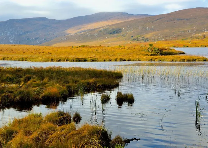 Luxury 3 Bed Town House Dog Friendly